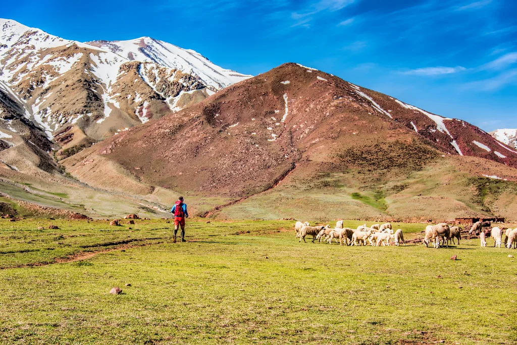 Morocco+running