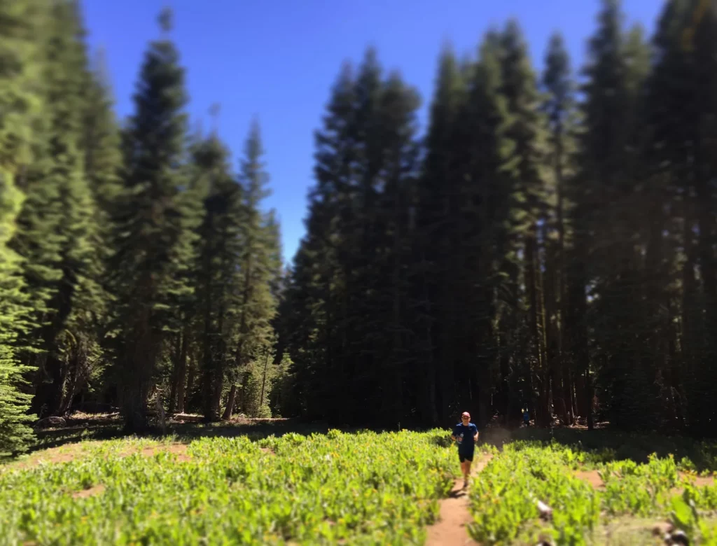 1 Michael+forest+run