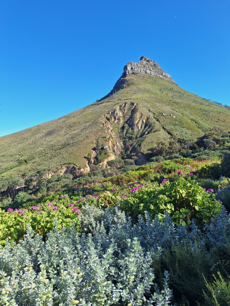 Table Mountain