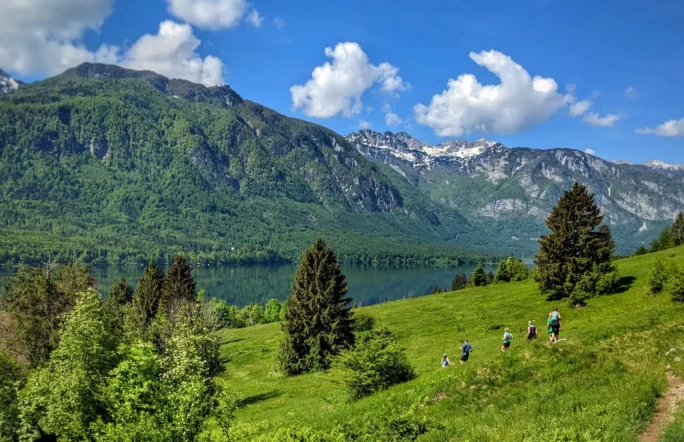 Alpe Banner Image