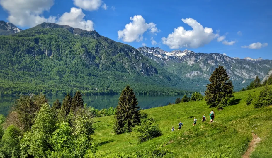 Alpe Banner Image