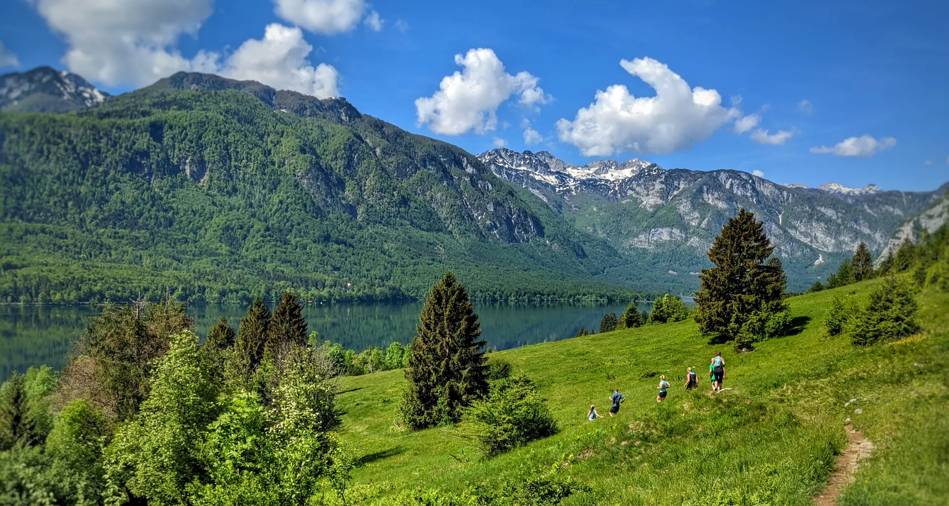 Alpe Banner Image
