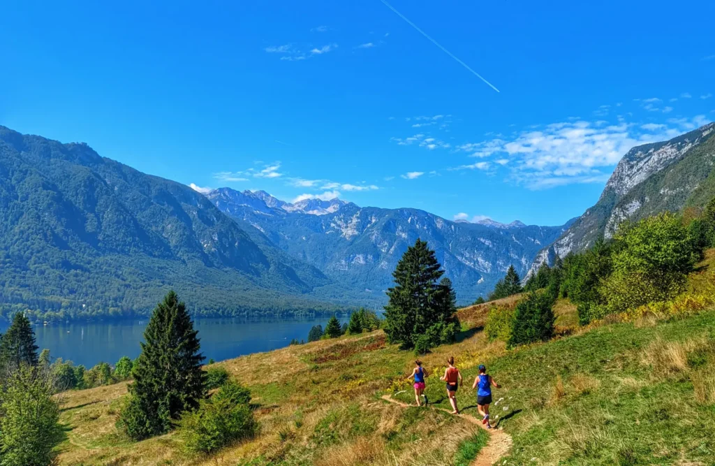 Alpe Photography 6@2x