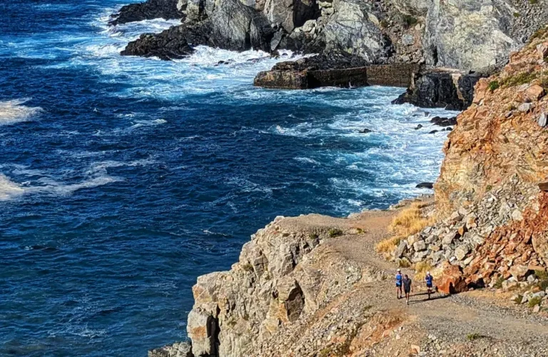 Baja Mexico5