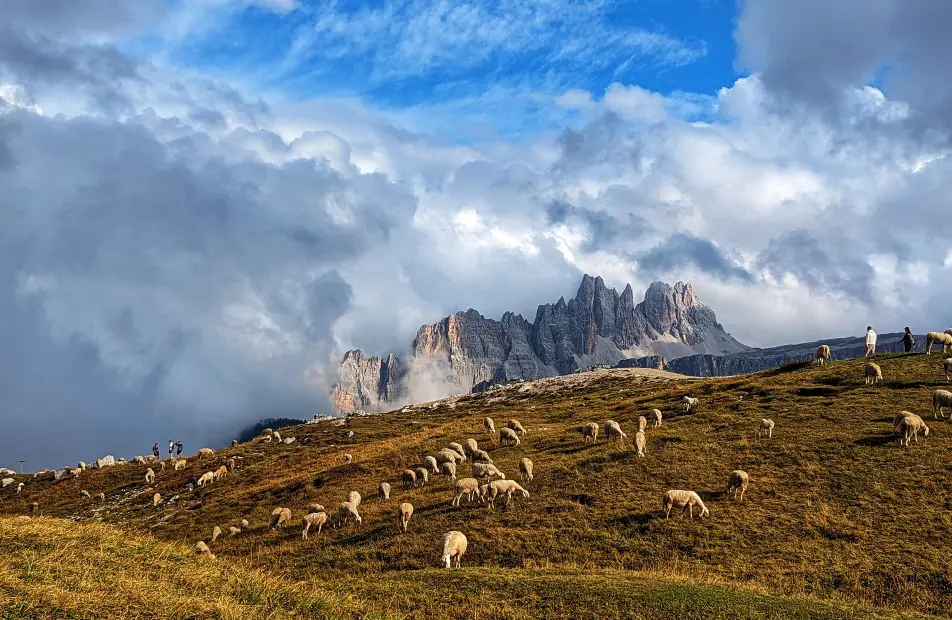 Italy Gallery4