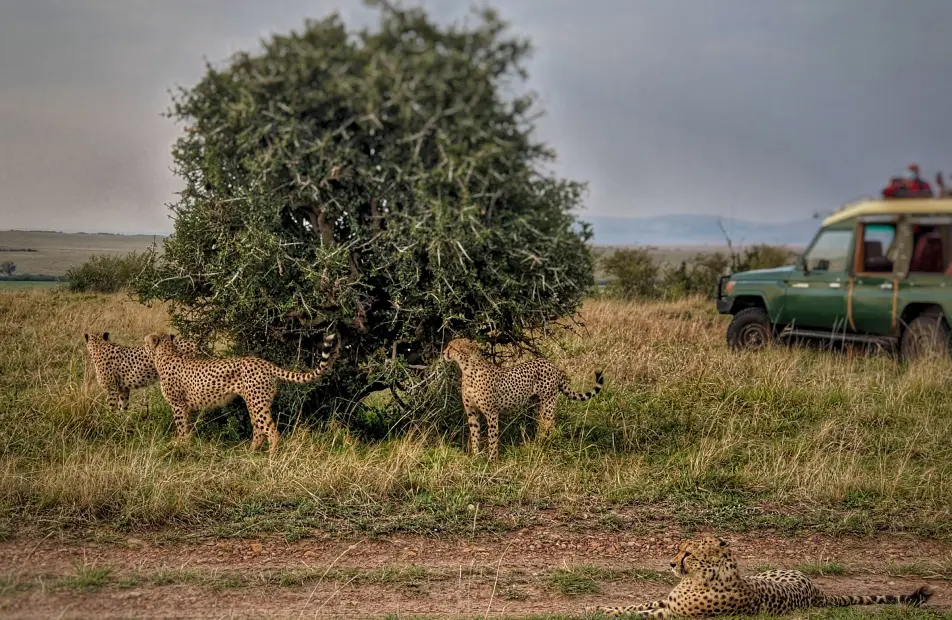 Kenya Gallery5