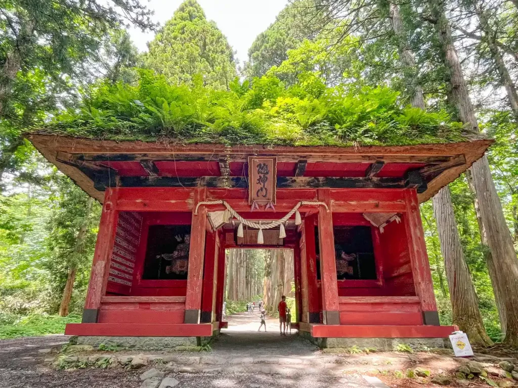 japan torii gate