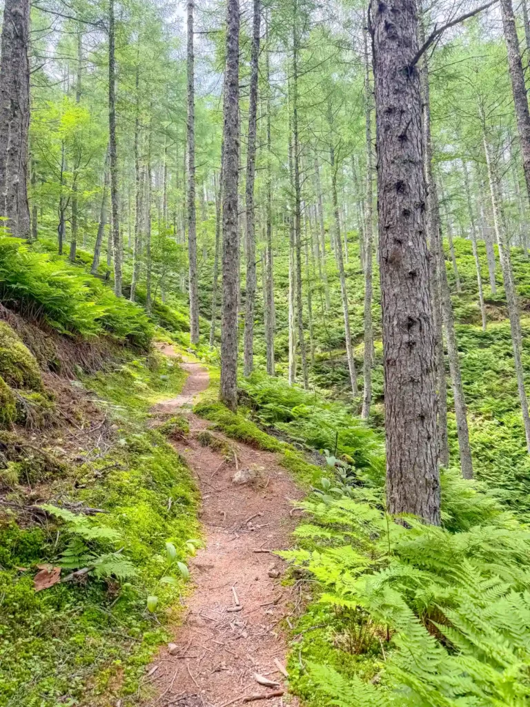 japan trail run