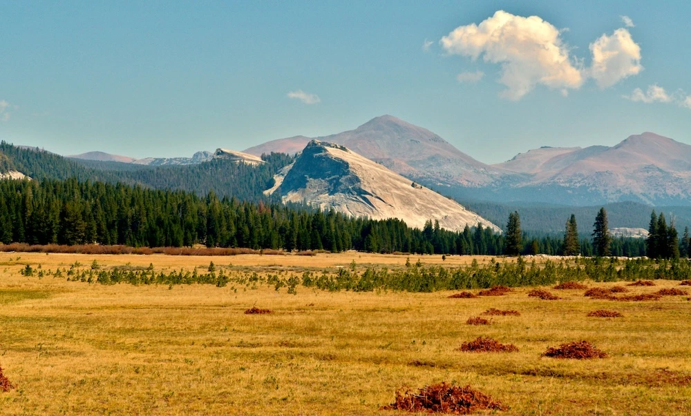 Tuolomne Meadow