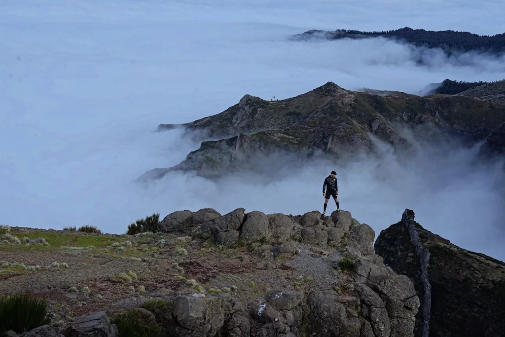 Madeira Runner Mist Gintaregrine
