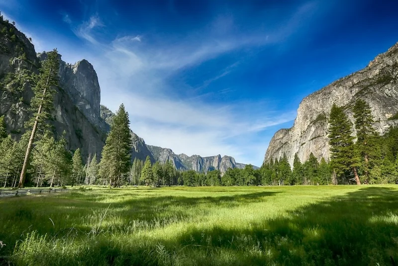 Yosemite Meadow