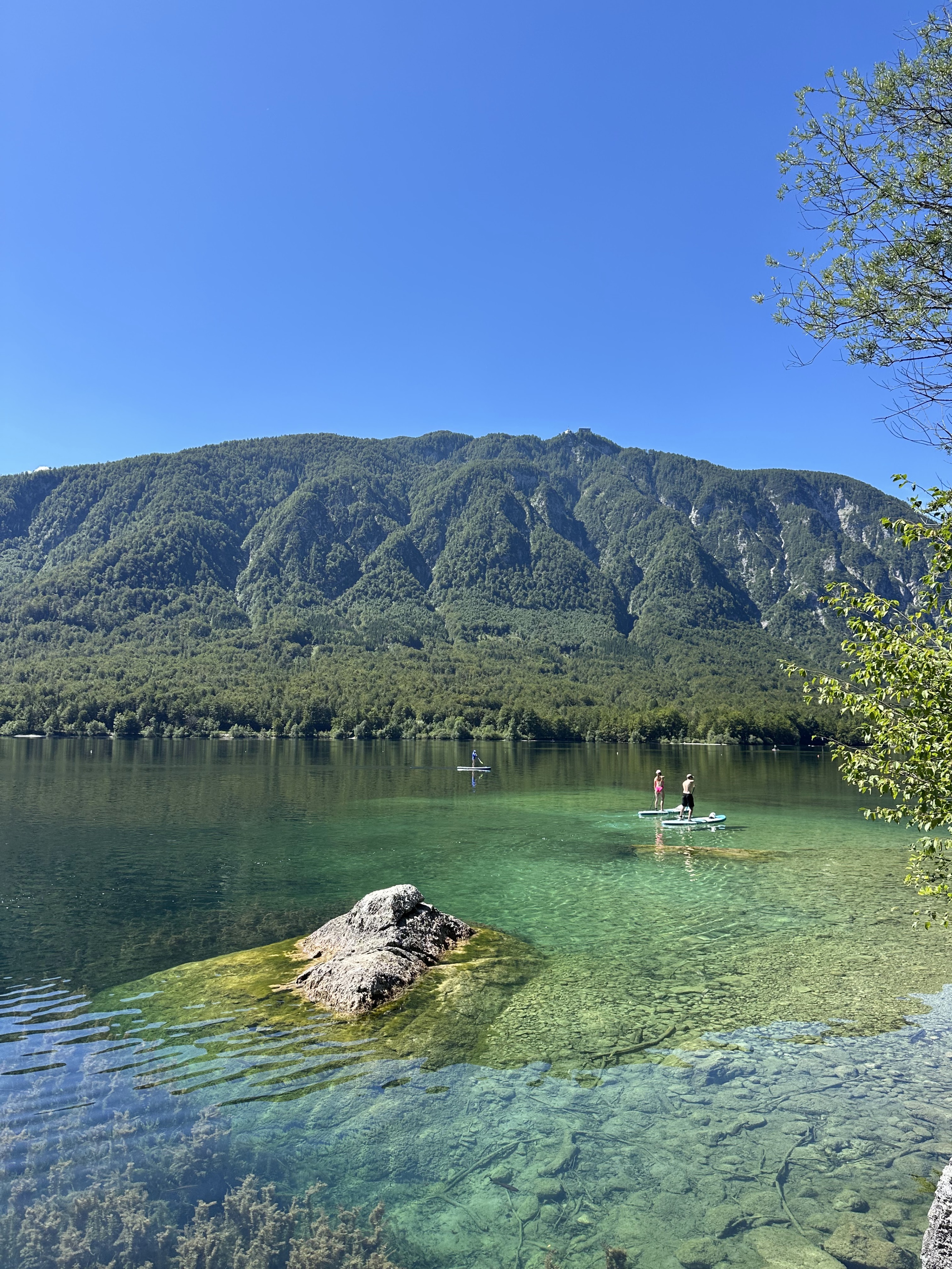 Img 7249