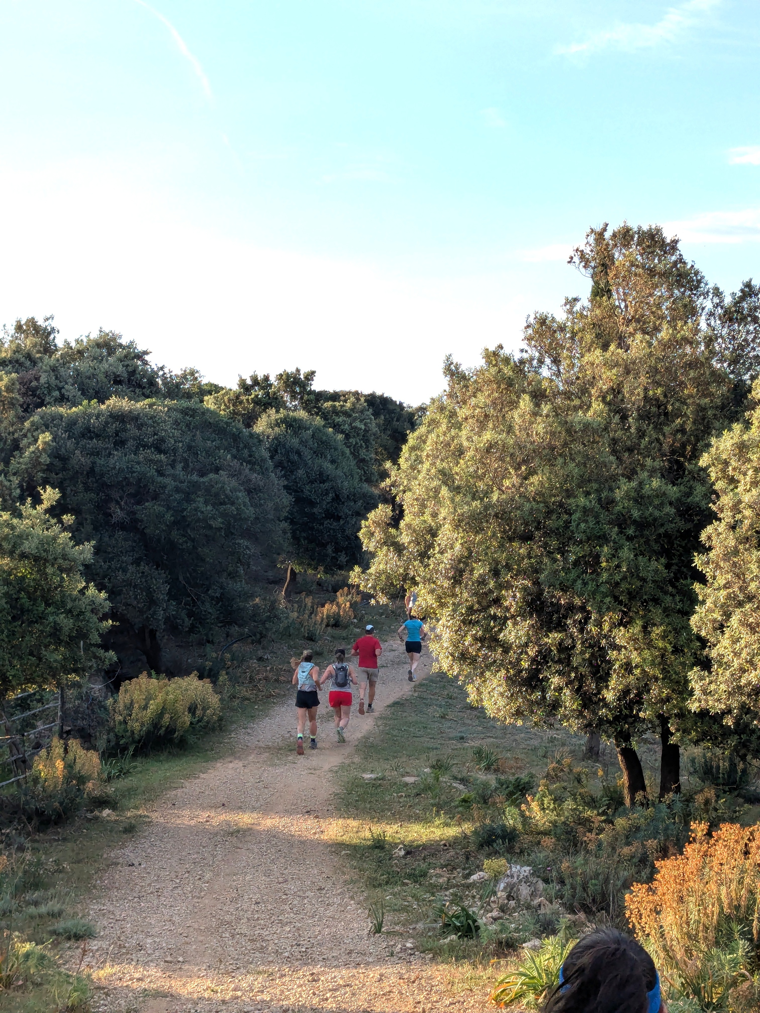 Trail Runners Path Brightened 20